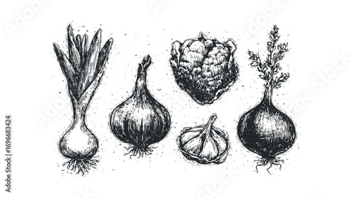 Woodcut style vegetable collection on transparent background. Vector hand drawn illustration