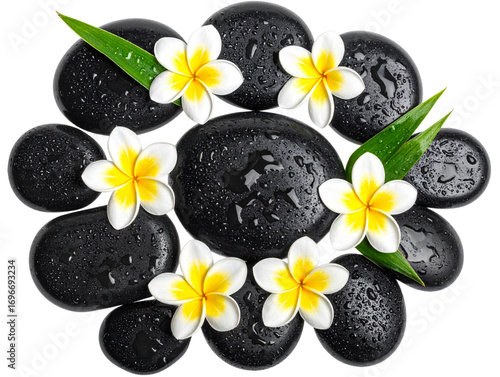 Wallpaper Mural Flat Lay of Bamboo Leaves, Wet Spa Stones, and White Plumeria Blossoms, Transparent PNG   Torontodigital.ca