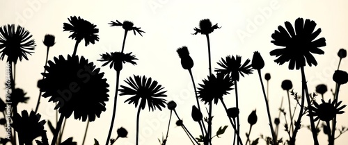 Elegant silhouettes of various wildflowers, dark against a light background,  botanical, wildflower