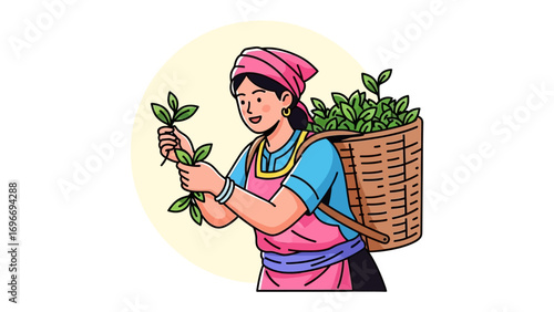 Tea Plantation Worker: Illustration of a tea plantation worker. A woman is picking tea leaves for tea.