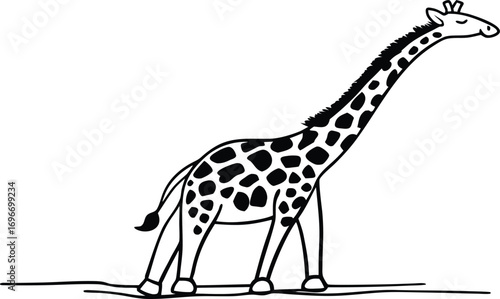 Black and white outline drawing of a giraffe with spots on white Keywords: giraffe, animal, wildlife