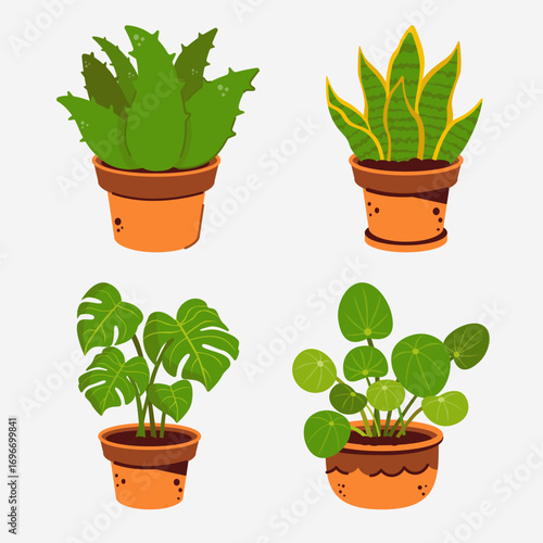 Adobe Illustrator Artwork