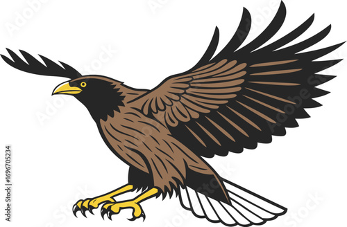 Myna Bird Illustration Design. Detailed Myna Creative Artwork. Myna Bird Illustration for Wildlife Artwork. Realistic Myna Illustration for Nature Theme. Beautiful Myna Bird Creative Artwork