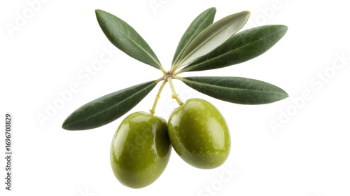 Wallpaper Mural Two Fresh Green Olives on a Branch with Leaves on a Transparent Background Torontodigital.ca