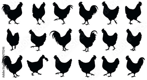 Chicken Set Silhouette Vector Illustration , Animal Farm Set Vector