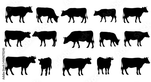 Cow Set Silhouette Vector Illustration , Animal Farm Set Vector