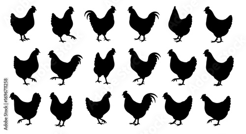 Chicken Set Silhouette Vector Illustration , Animal Farm Set Vector