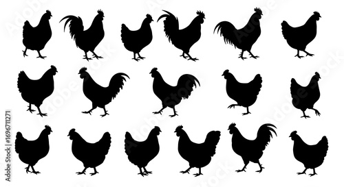 Chicken Set Silhouette Vector Illustration , Animal Farm Set Vector