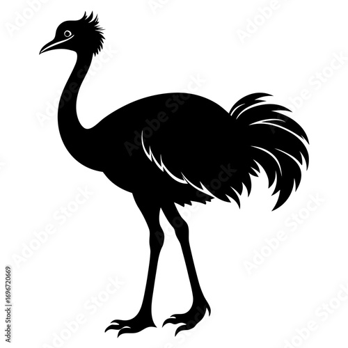 ostrich vector illustration