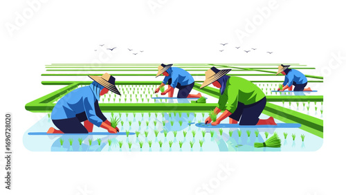 Farmers Planting Rice in Field: A scene of hard work and tradition, showcasing farmers meticulously planting rice seedlings in a vibrant green field. Capturing the essence of agriculture.