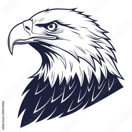 Bald Eagle Head Profile Line Art Illustration on White Background bird raptor
