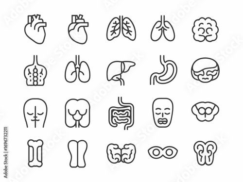 Medical organ line icon set scalable vector graphics for health and science