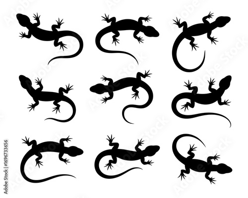 Set of eight black lizard silhouettes vector illustration scalable icon for design