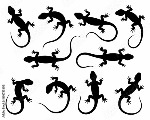 Set of eight black lizard silhouettes vector illustration scalable reptile icons