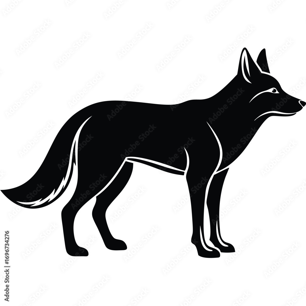 Fototapeta premium Black silhouette of a coyote standing with its head turned to the left on a white background animal wildlife