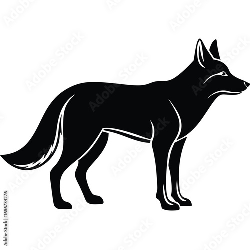 Black silhouette of a coyote standing with its head turned to the left on a white background animal wildlife