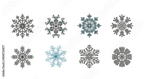 Collection of elegant winter snowflakes delicate ice crystals beautifully detailed geometric designs for festive decorations and seasonal themes