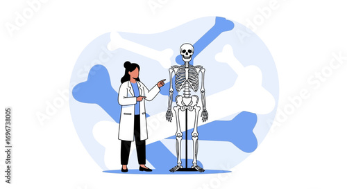 Anatomy Lesson Featuring A Doctor Examining A Skeleton, Illustrating Bone Structure