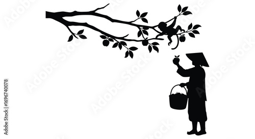 a person picking fruit from tree branch silhouette