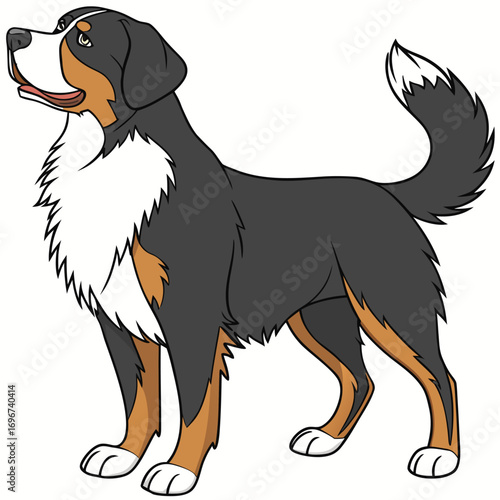Cartoon illustration of a bernese mountain dog standing
