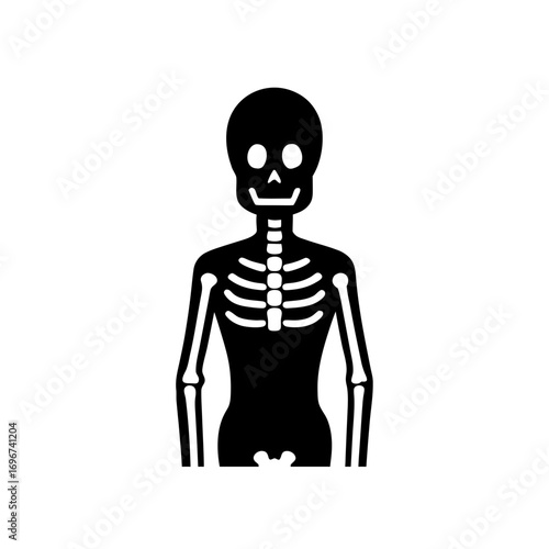 Illustration of a full human skeleton art