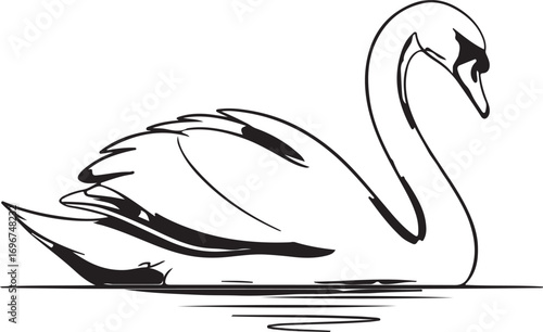 Black And White Line Drawing Of A Swan Swimming On Water Keywords: swan, bird, swimming, water, lake, pond