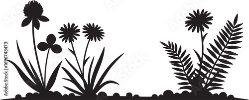 Black Silhouette of Clover, Dandelions and Ferns on a Ground Line plants