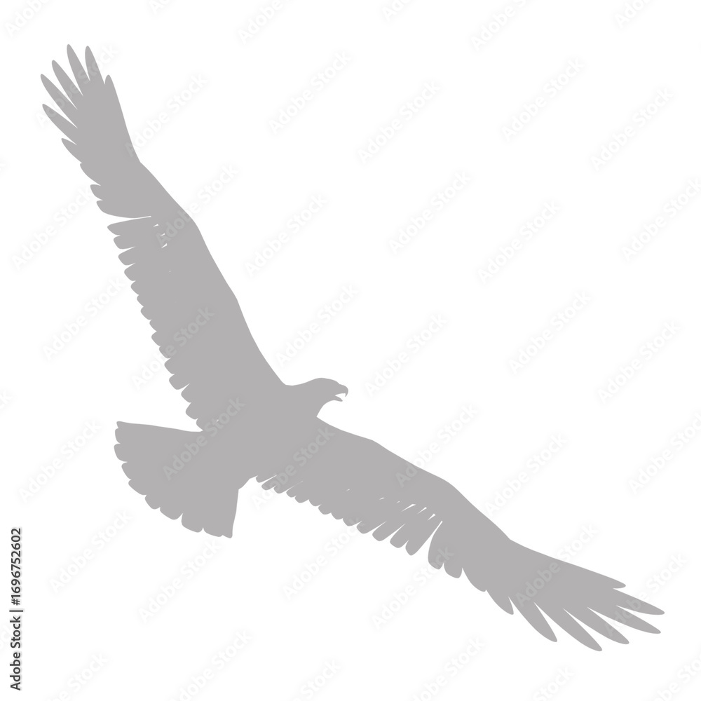 Obraz premium Majestic eagle in flight silhouette against a black background