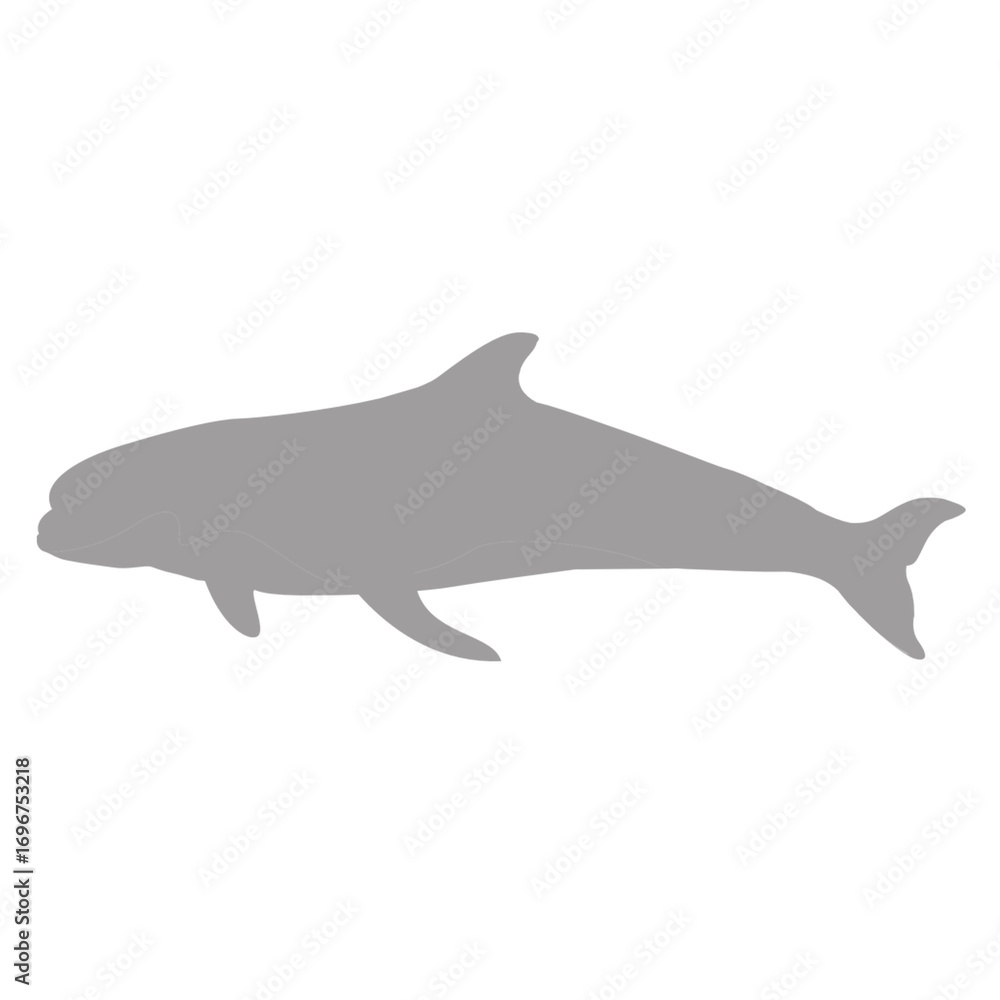 Fototapeta premium A simple grey silhouette of a dolphin swimming against a black background silhouette