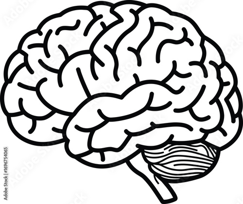 Minimalist Outline Style Human Brain Anatomy Organ Line Art Icon