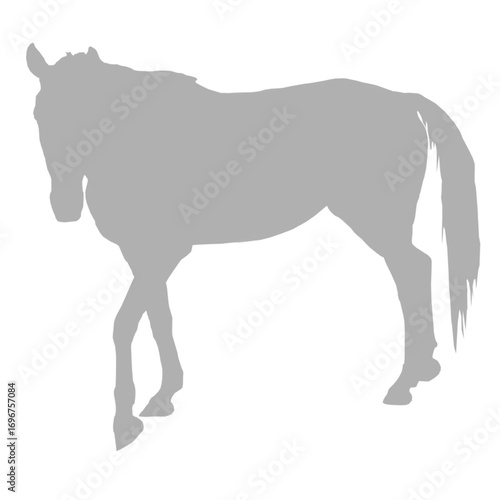 A gray horse standing in profile silhouette