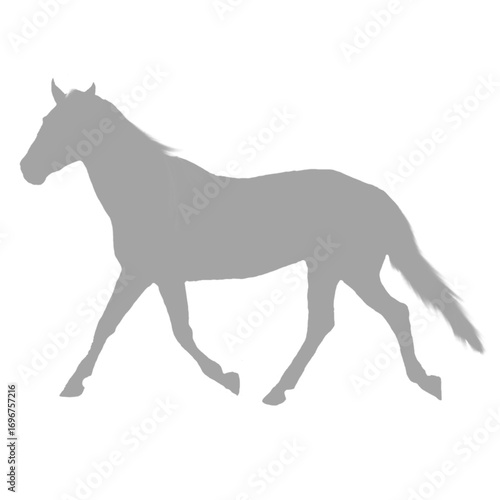 Elegant grey horse in motion silhouette