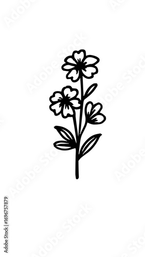 flores