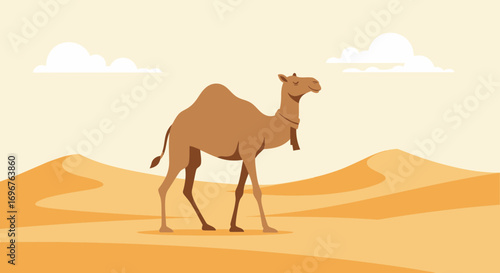 Desert Camel Illustration, Symbolizing Warmth, Journey And Survival In Arid Landscapes
