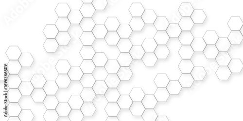 business concept abstract hexagon white abstract background with various arranging modern white hexagon patterns.