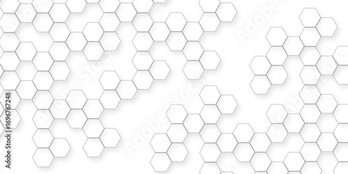 business concept abstract hexagon white abstract background with various arranging modern white hexagon patterns.