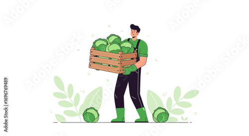 Farmer Carries Wooden Crate Full Of Large Fresh Cabbages, Green Produce Illustration