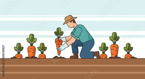 Farmer Harvesting Fresh Carrots, Illustrating Rural Life and Organic Agricultural Practices