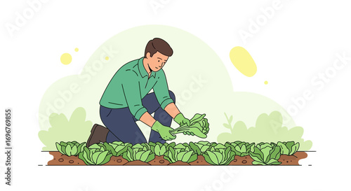 Farmer Harvesting Fresh Greens: An Illustration of Organic Gardening and Agricultural Practices