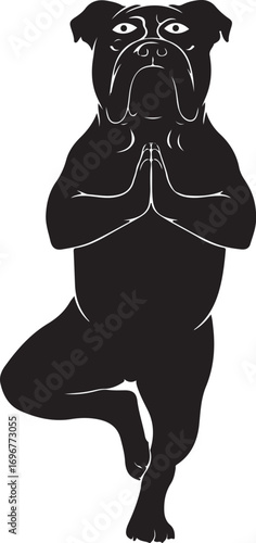 meditation funny dog