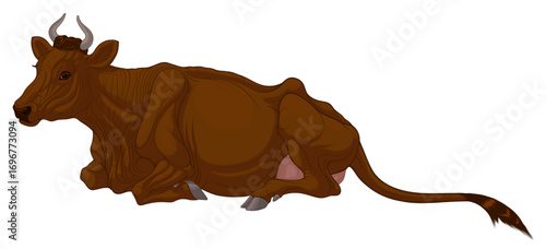 Colored vector illustration of a lying cow. An image of a brown cattle. Design element for farm, milk packaging or meat products. 