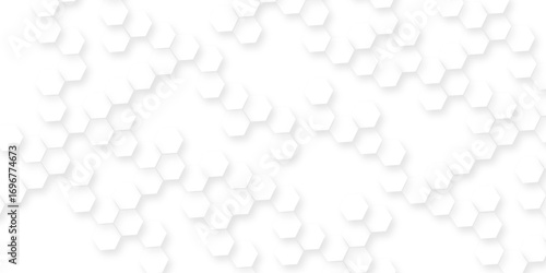 white abstract background with various hexagon patterns, Modern white abstract background with smooth soft curves, minimal geometric shapes, clean light texture, elegant futuristic pattern.