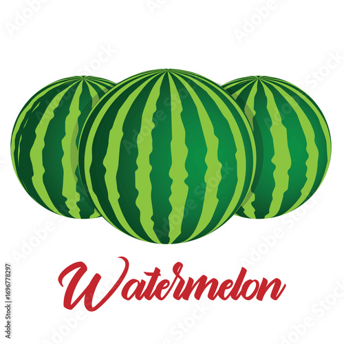 Vector watermelon