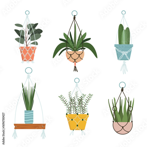 Set of houseplants in knitted hanging pots in cartoon style. Vector illustration of beautiful macrame hangers for flower pots of different types, isolated on white background. Hanging jute hangers.