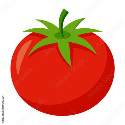 tomato vector illustration