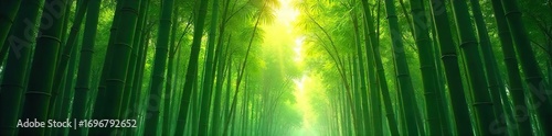 Dense bamboo forest in dappled sunlight, creating a serene and tranquil atmosphere Perfect for nature, travel, and environmental themes Ideal for backgrounds and textures , natural, nature