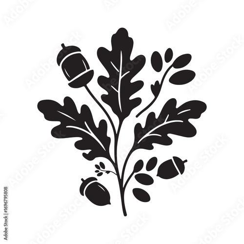 acorns and oak leaves vector silhouette line art logo design concept  illustration