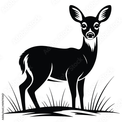 silhouette of a deer