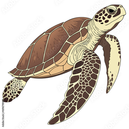 Artistic Rendering of a Sea Turtle with Intricate Shell Patterns and Extended Flippers marine life ocean