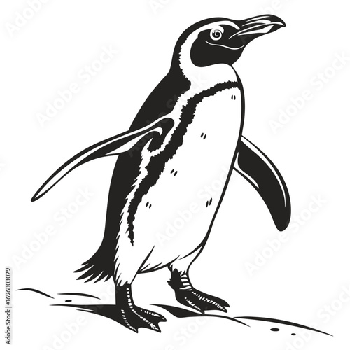 Black and white silhouette of a penguin standing on a white background animal bird